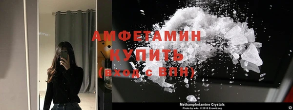 трава Ельня