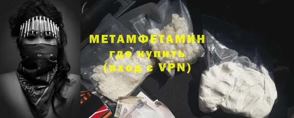 трава Ельня