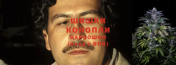 прущая мука Елабуга