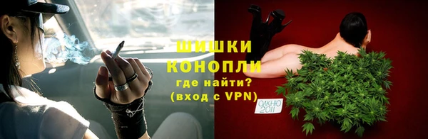 трава Ельня