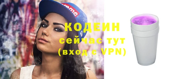 трава Ельня