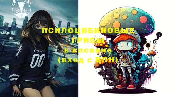 трава Ельня