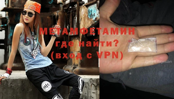 сатива Дмитриев