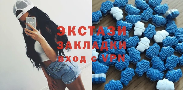 трава Ельня