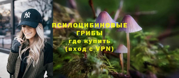 крисы Гусиноозёрск
