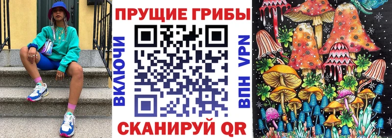 Псилоцибиновые грибы мицелий  купить   Верхотурье 